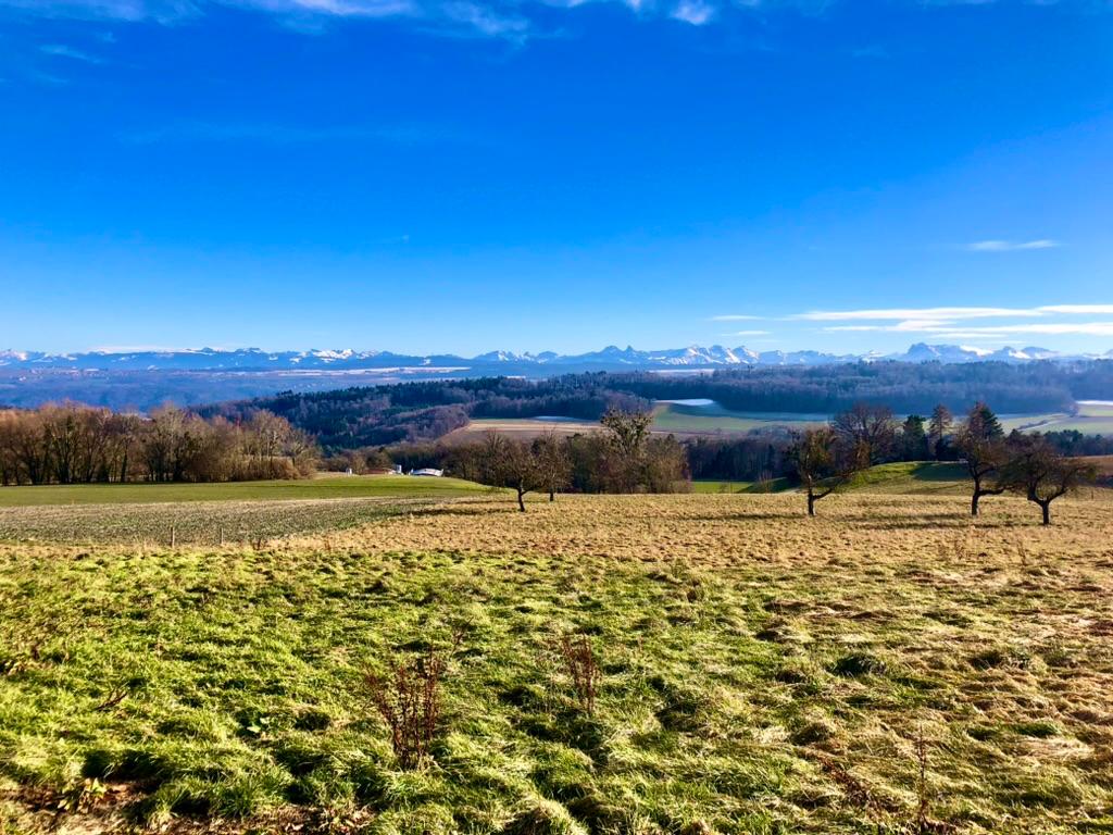 Article 1 : De l'ossature bois aux caissons préfabriqués : l'évolution d'un système constructif
