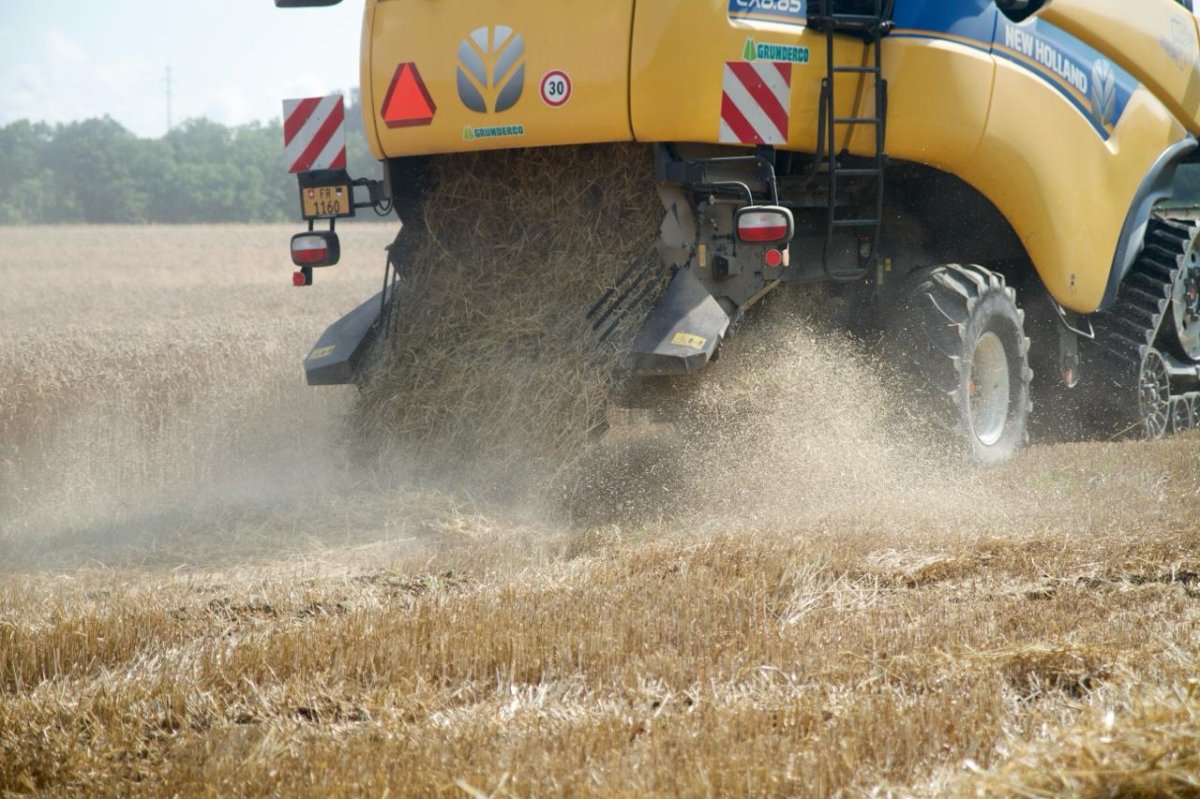 Article 2 : La récolte de paille : quand le blé devient votre maison