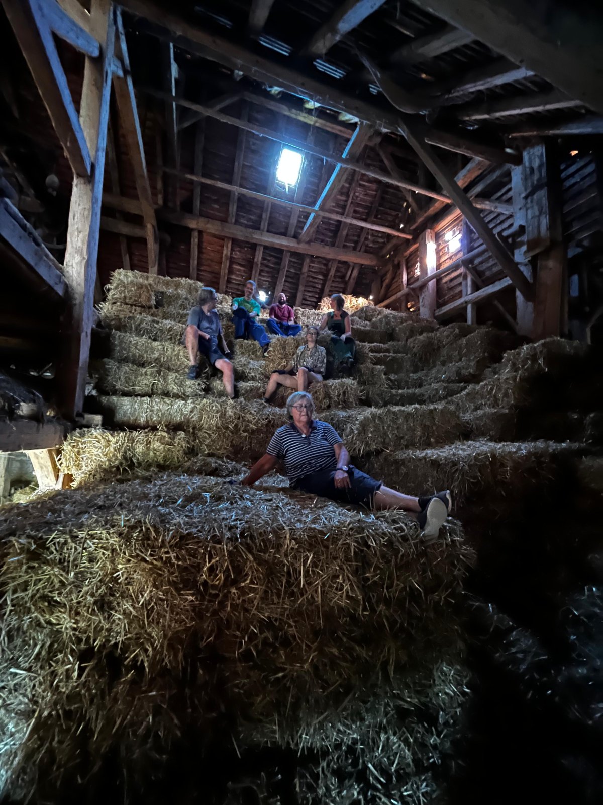 Article 3 : Week-end participatif – Les volontaires en action