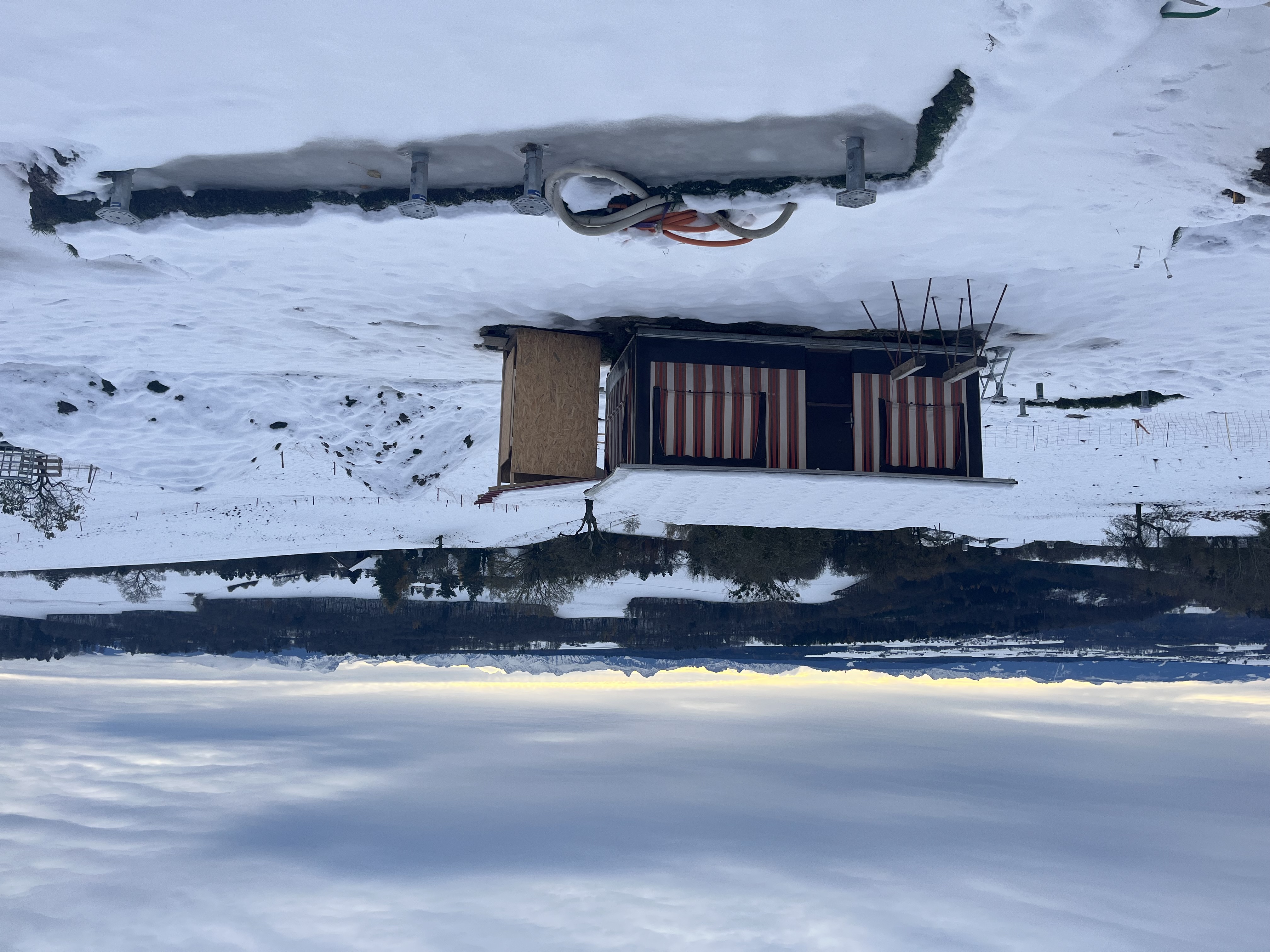 Article 11 : Sous la neige