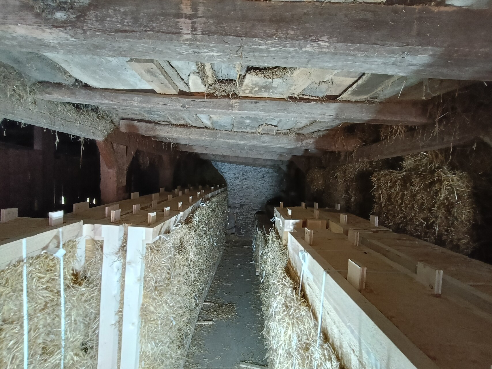 Article 12 : Les murs en paille porteuse sont fait 