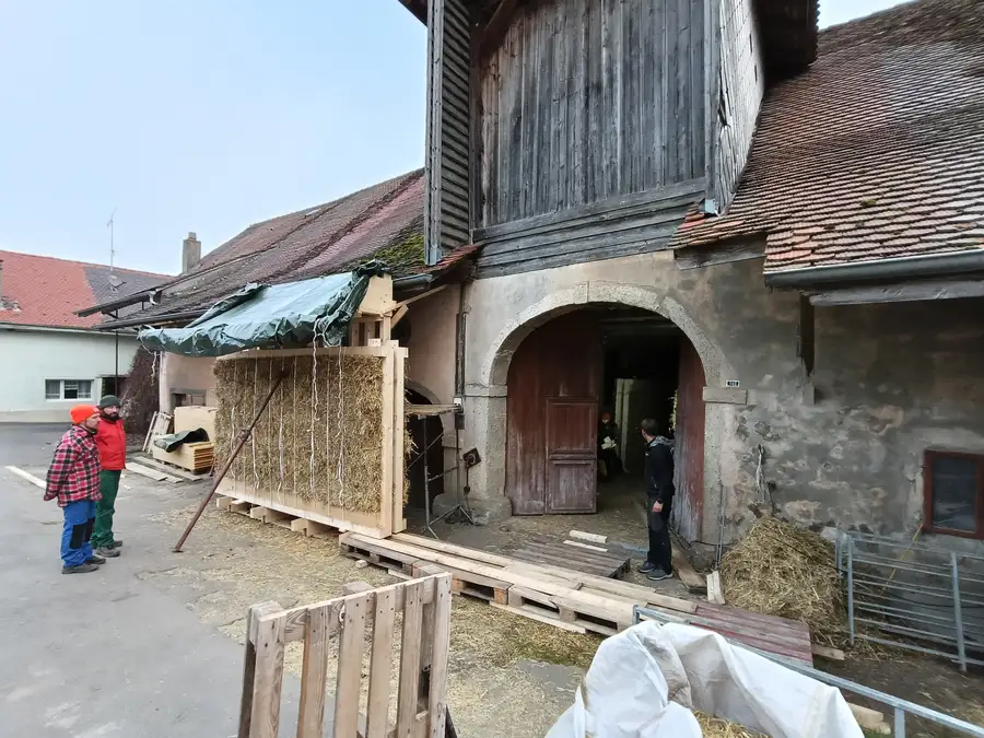 Océanne IMG20241115155322